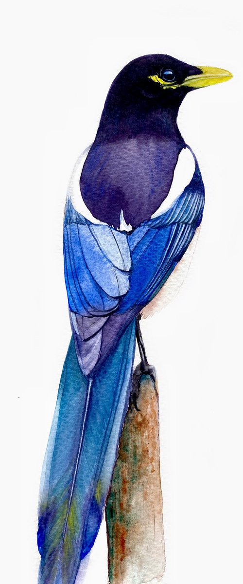 Magpie-the rainbow bird with watercolor magic in artistic realism by Tetiana Savchenko