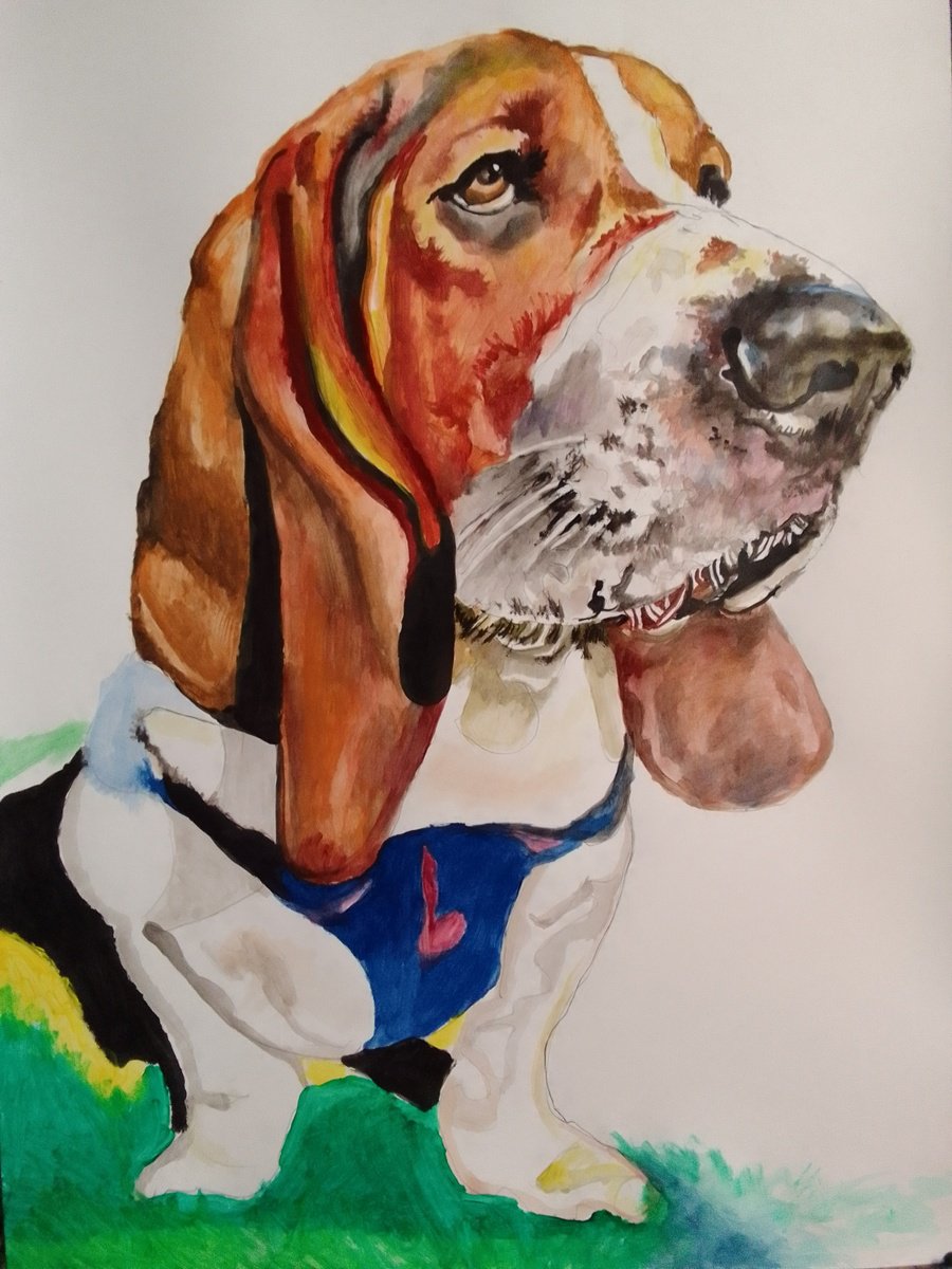 Photorealistic Animal Acrylic Painting By Soso Kumsiashvili, 24 X 33", Bassethound, Original Artwork