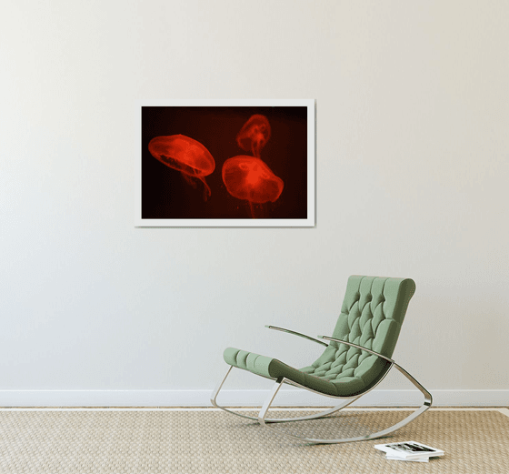 At the aquarium #4 | Limited Edition Fine Art Print 1 of 10 | 75 x 50 cm