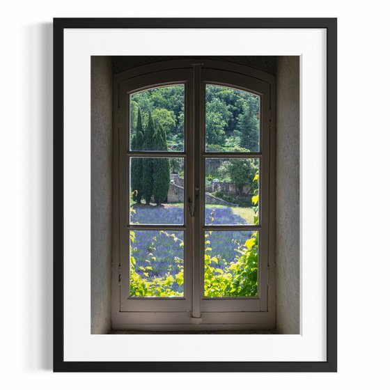 A WINDOW OF NATURE