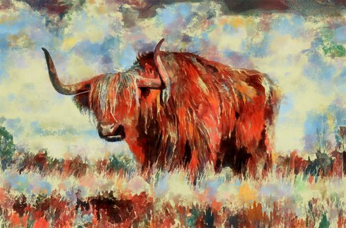 Highland Bull by Alistair Wells