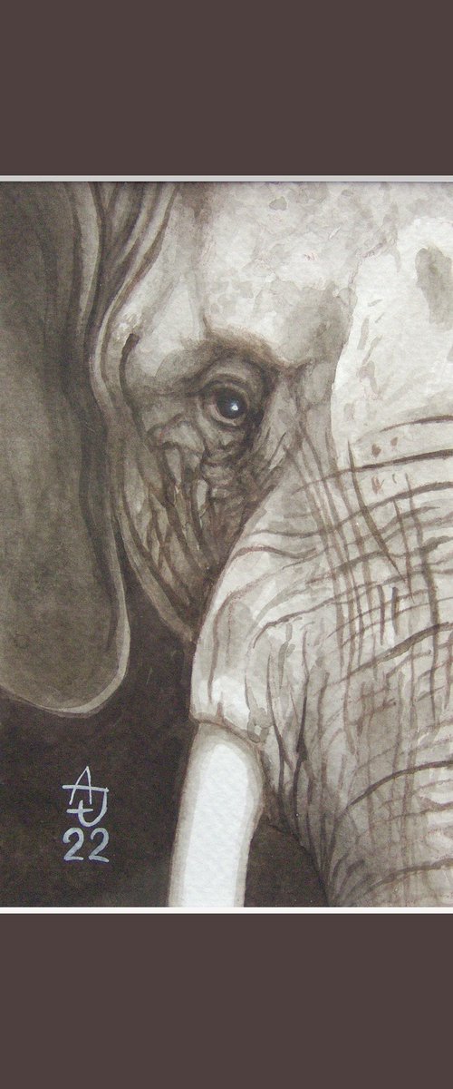 Look at the elephant :) by Jolanta Czarnecka