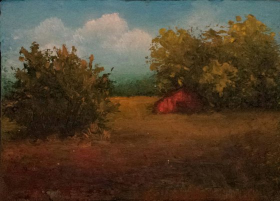 Red Shed 5" x7" Oils