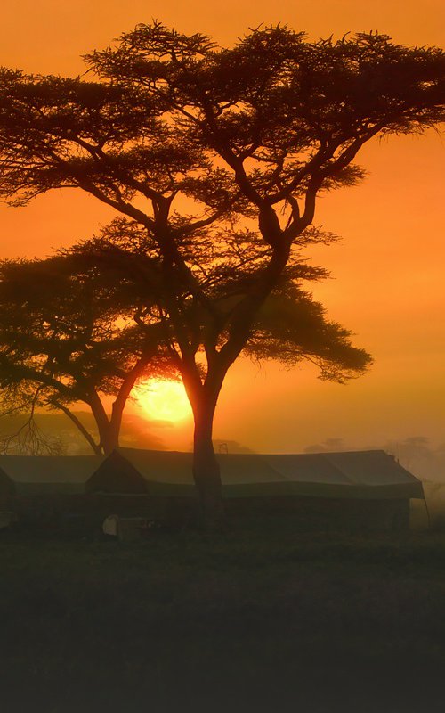SERENGETI SUNRISE by Harv Greenberg