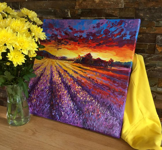 "Sunset in a lavender field"