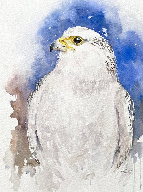 White Falcon by Arti Chauhan