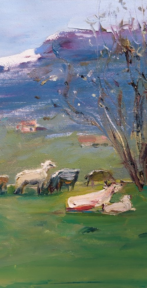 In the mountains in spring . Cows and sheep . Original oil painting by Helen Shukina