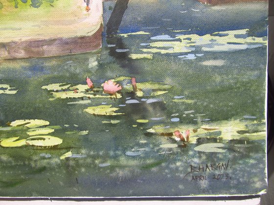 Pond in the garden with water lilies