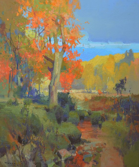 A Shallow Stream