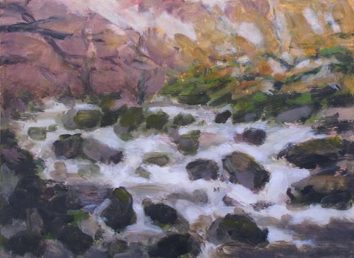 Dartmoor - The River Dart by Hugo Lines