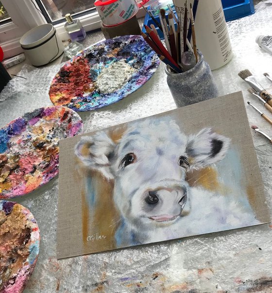 Luna - White cow original oil painting