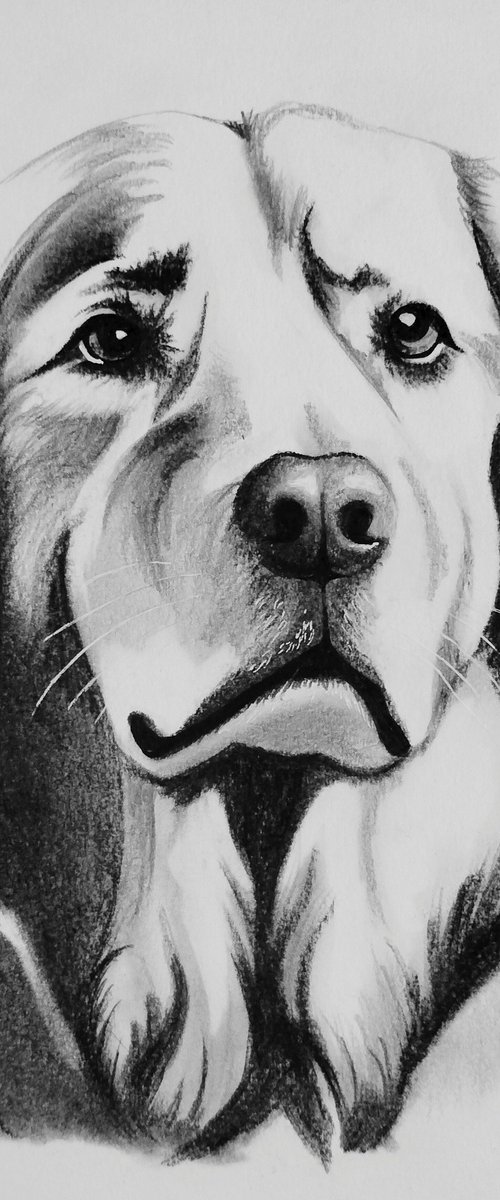 Gentle Soul by Nagore Rodriguez