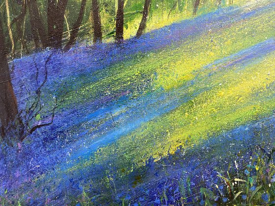Light through Spring Bluebell Woodland