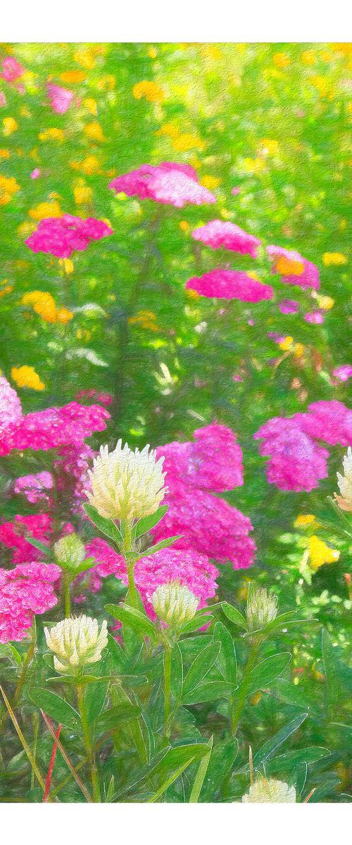Wild Flowers by Martin Fry
