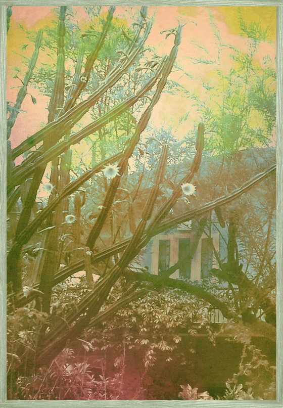 untitled - 31C