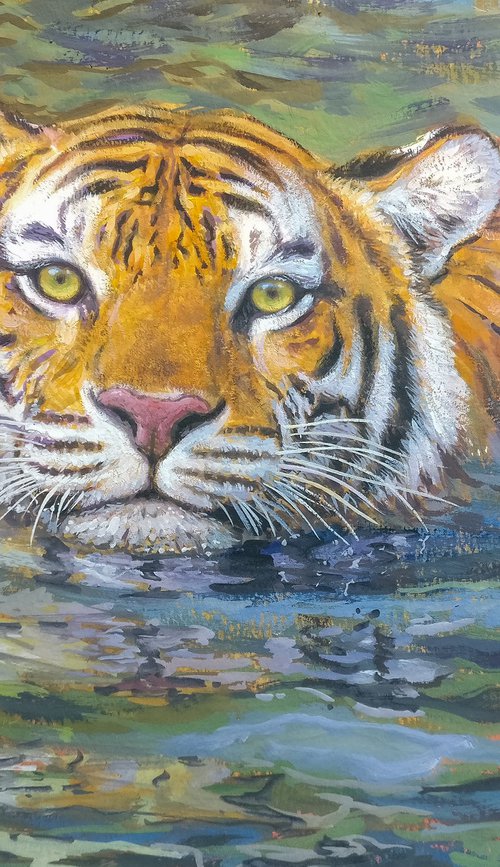 Tiger swimming by Gabriel Hermida