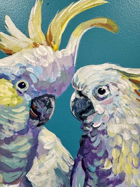 Yellow Crested Cockatoos