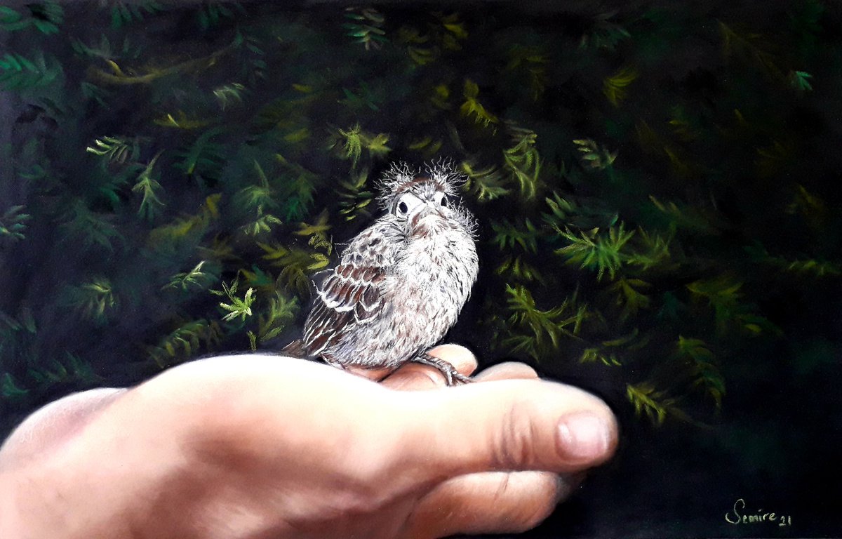BIRDIE by Semire Akyaz?