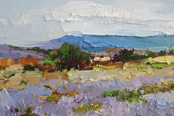 Lavender Field