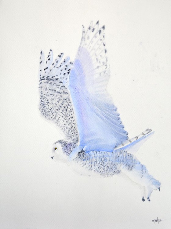 Snowy owl (set of three)