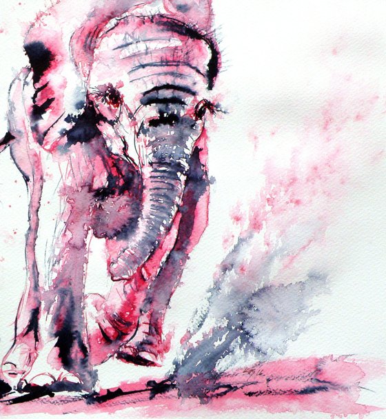 Playing elephant baby