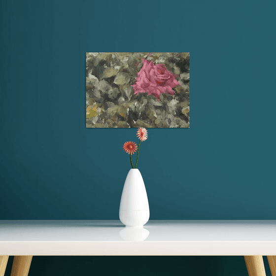 Study of a Pink Rose