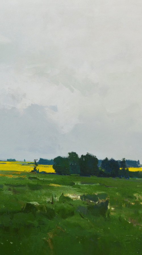 Spring fields by Vytautas Laisonas