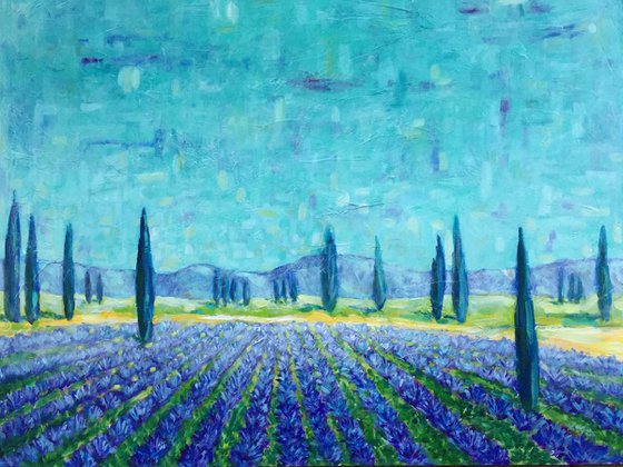 Lavender field - Provence