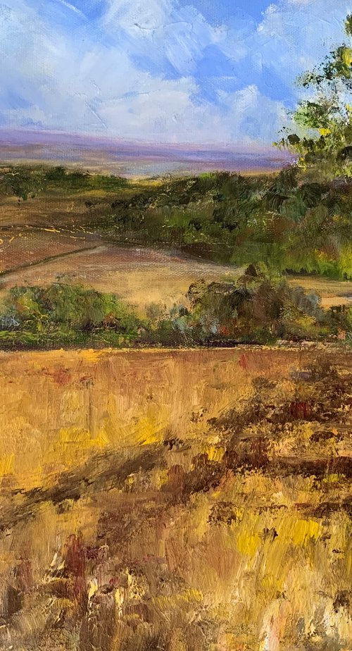 Howardian Landscape by Andrew Moodie