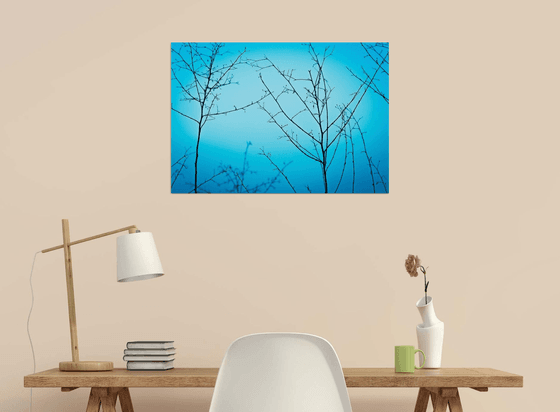 Twilight in the outdoors | Limited Edition Fine Art Print 1 of 10 | 60 x 40 cm