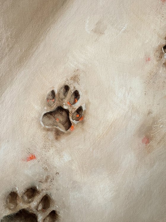 Where You Walked