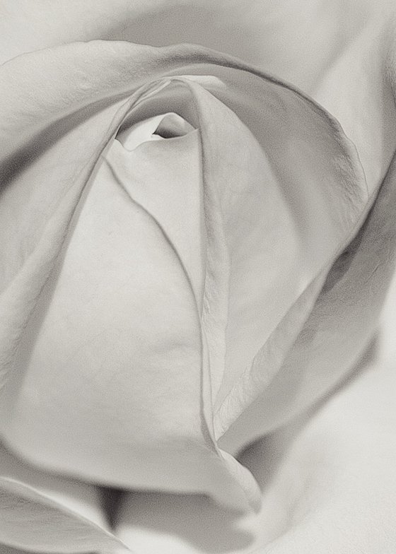 Layers of Beauty - studio edition