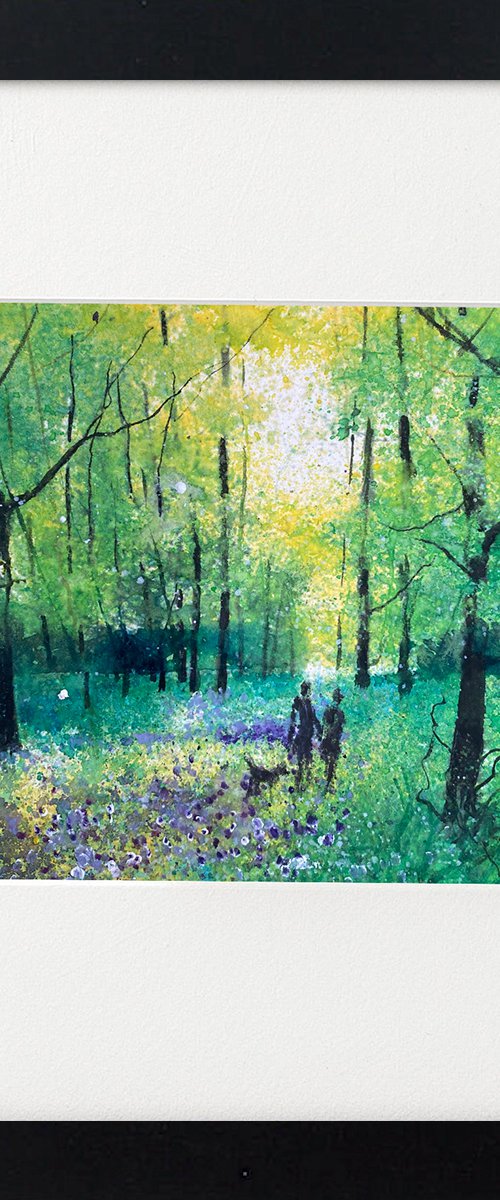 woodland dog walk framed by Teresa Tanner