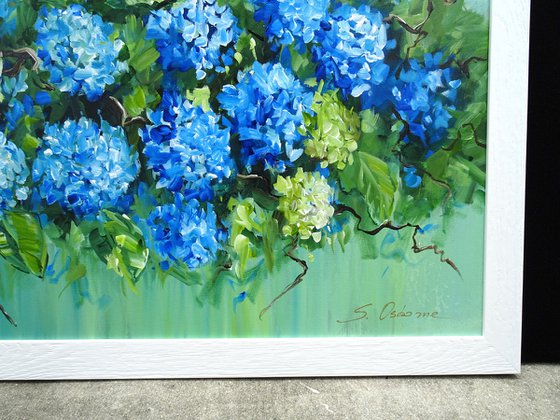 Blooming Hydrangea Serenity