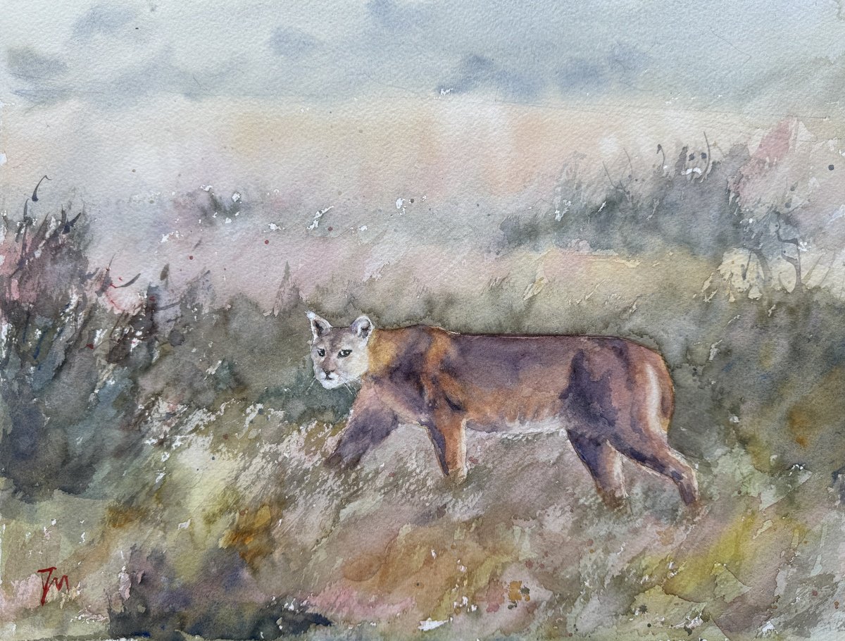 Impressionistic Animal Watercolour By Shelly Du, 16 X 12", Patagonia Puma, Original Artwork