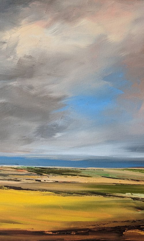 Oxfordshire fields by Steve Keenan