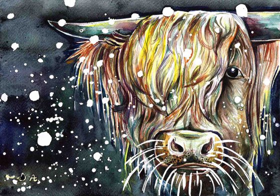Highland Moo Cow