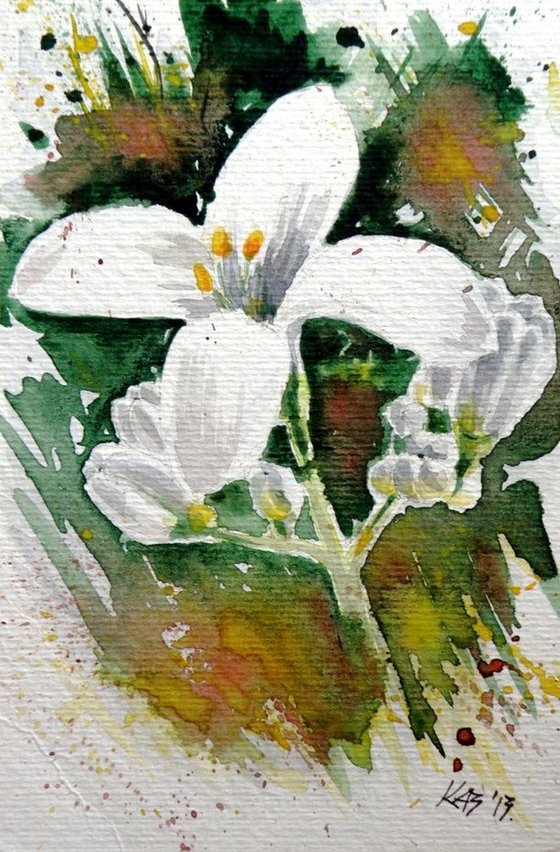 Wild flower