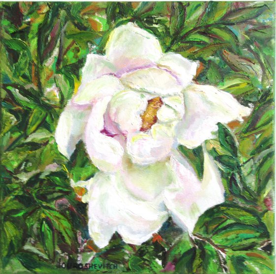 Blooming Flower