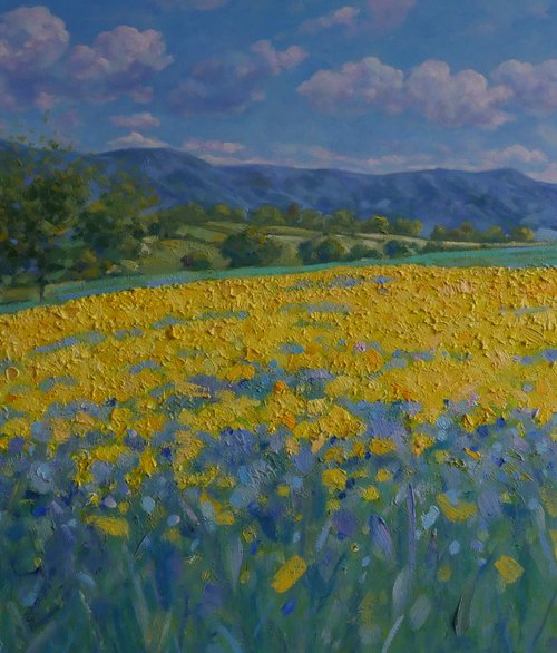 A yellow field by Claudio Ciardi