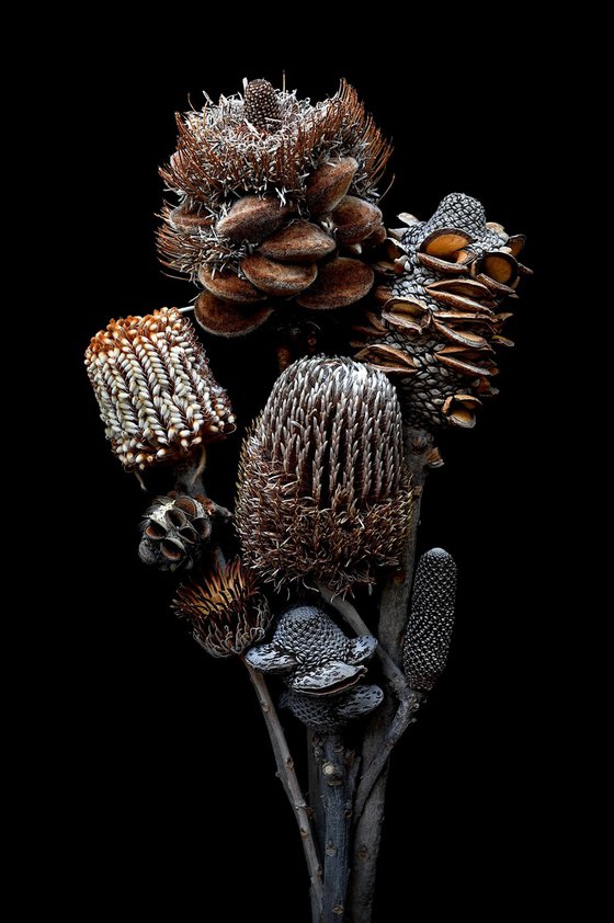 Banksia Bouquet