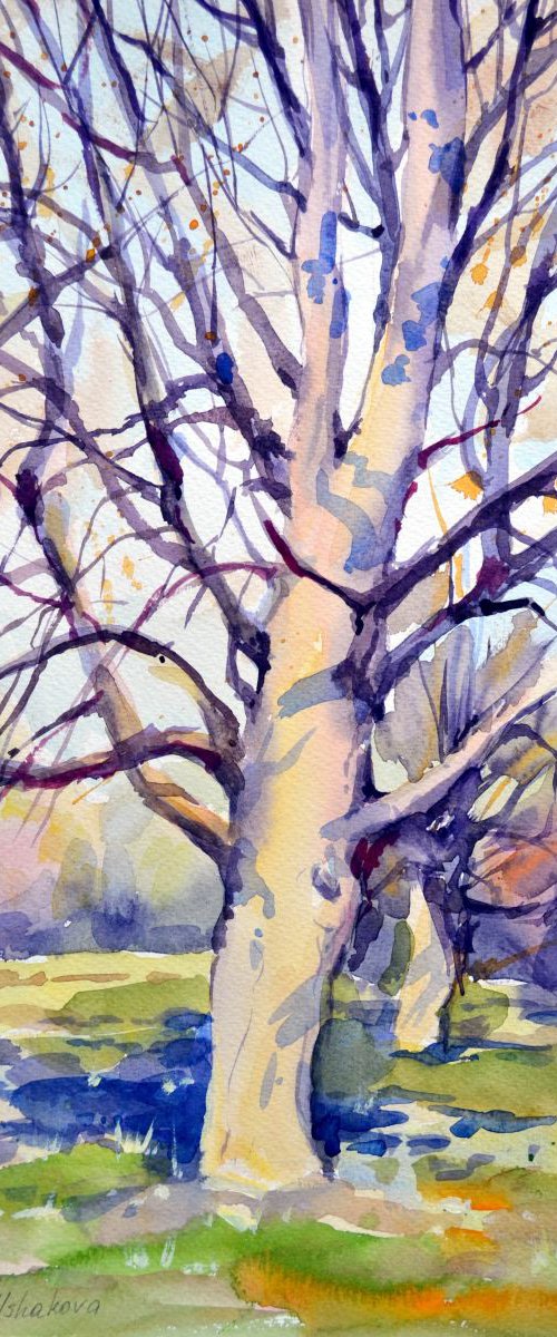 Trees 3 by Irina Ushakova