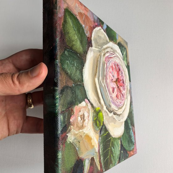 Pink roses still life