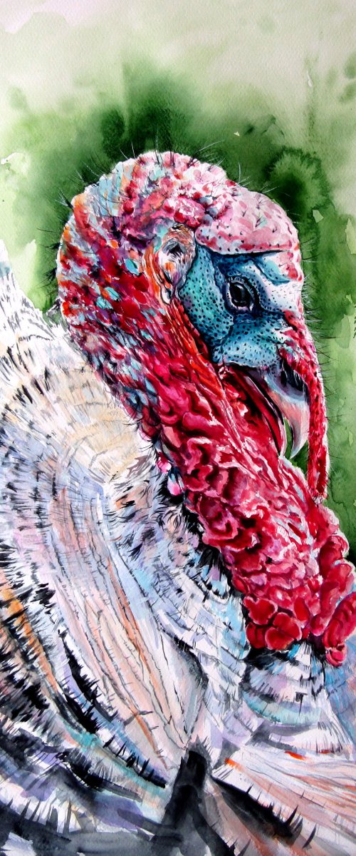 Turkey by Kovács Anna Brigitta