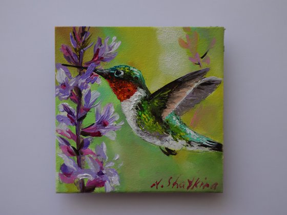 Hummingbird Painting Oil