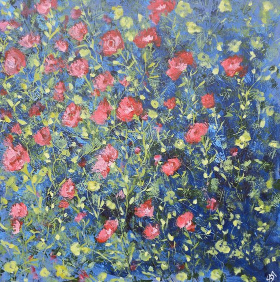 Midsummer Roses