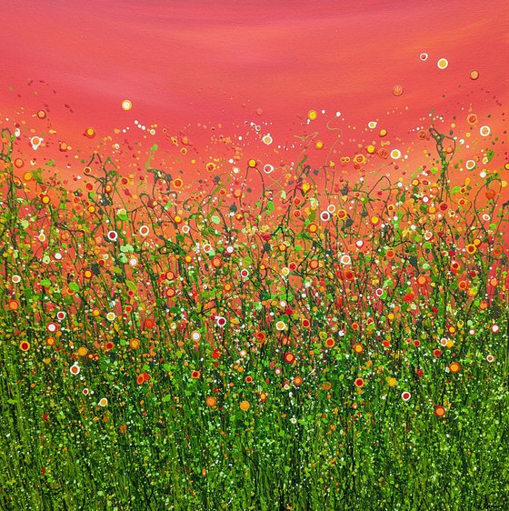 Popping Red Sky Meadows #2