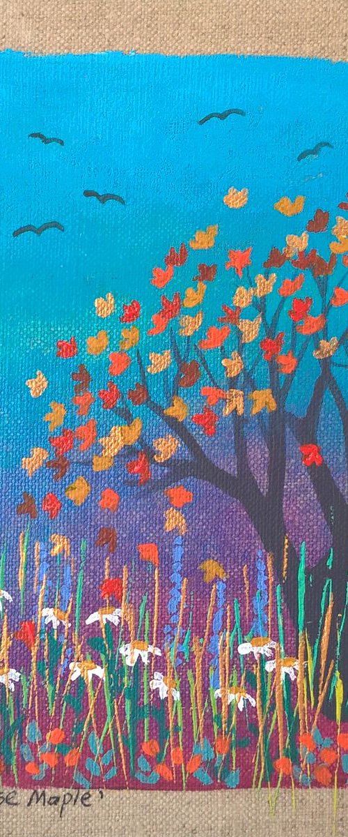 Japanese Maple by Lisa Mann