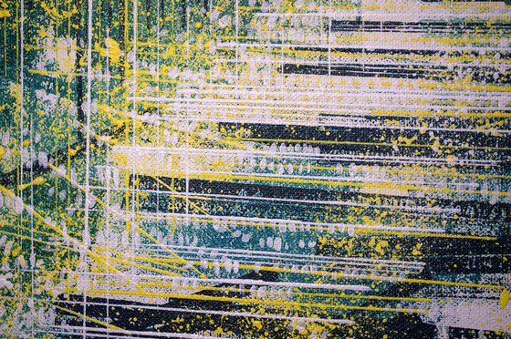 Light Through Spring Forest