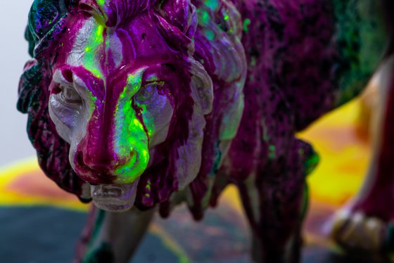 Lion walking in color
